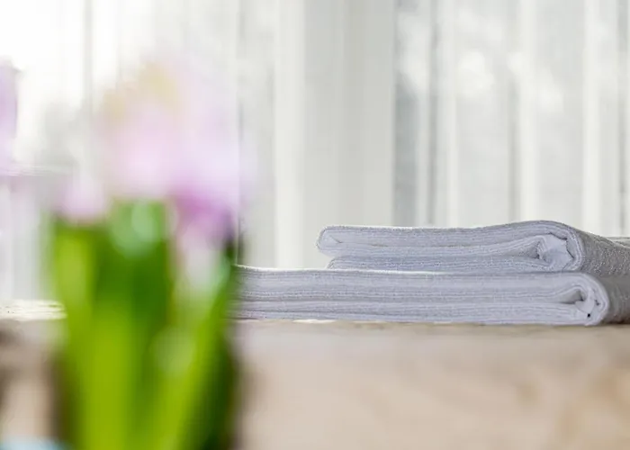 Sakura_inn 帕兰加